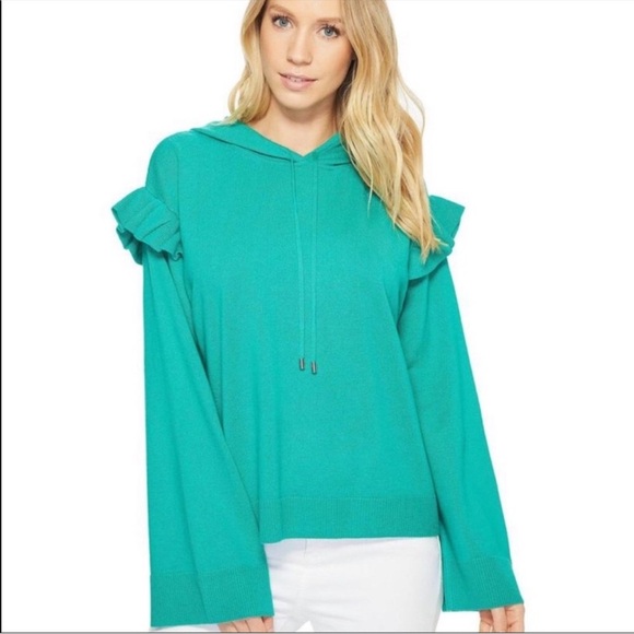 JOIE Wool Cashmere Pammeli Hoodie Sweater - Picture 1 of 9